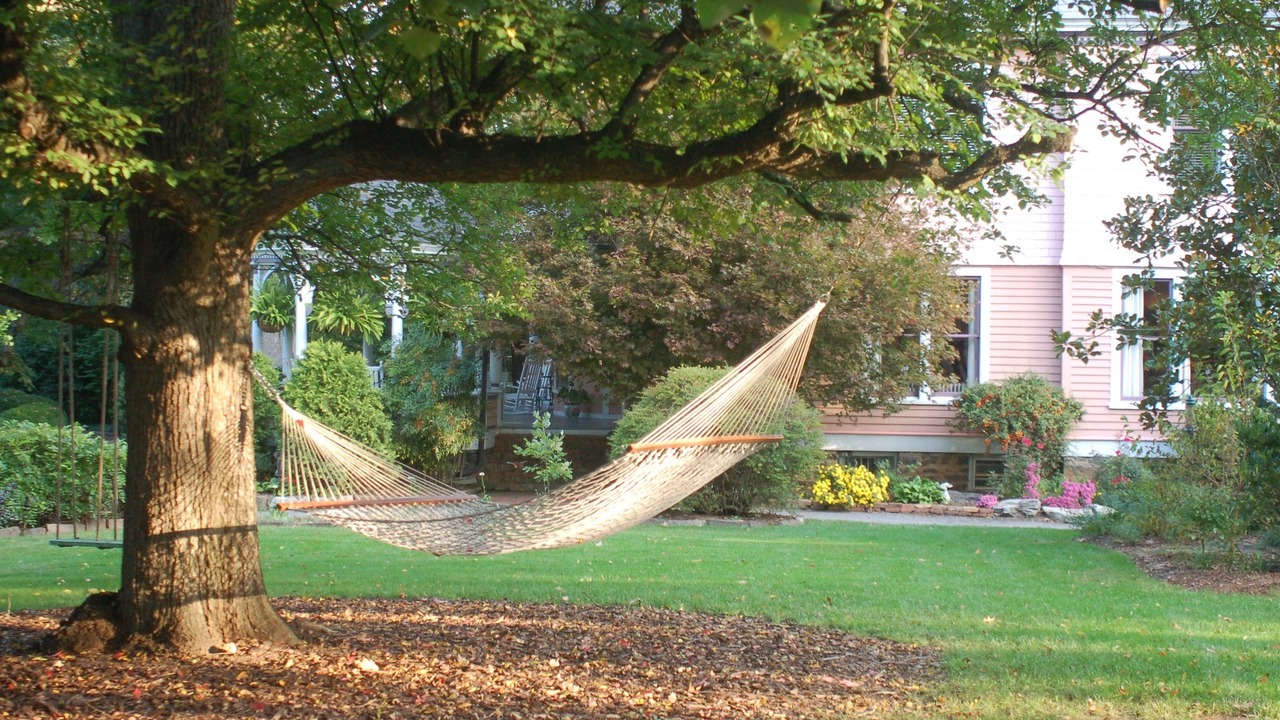 Photo of Outdoor in Claxton Community