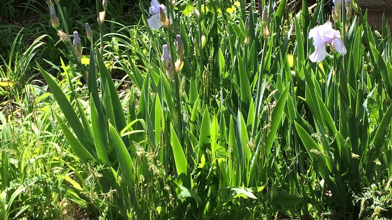 Photo of Outdoor in Wellford