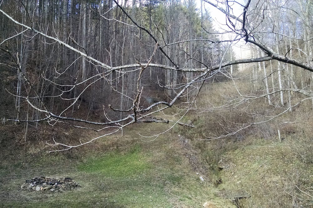 Photo of Outdoor in Sylva