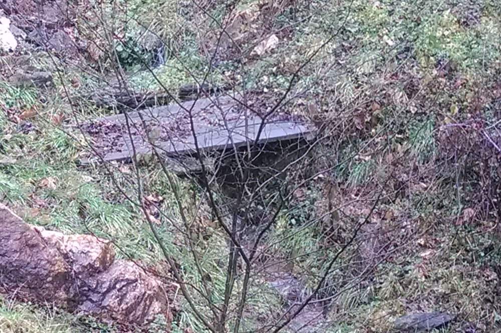 Photo of Others in Sylva