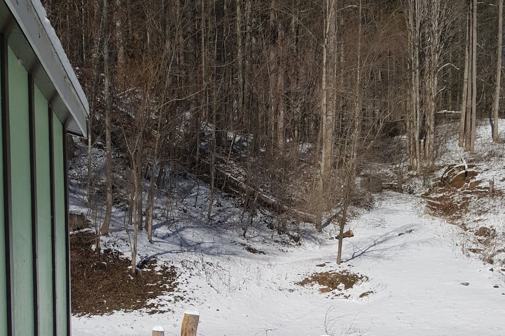 Photo of Others in Sylva