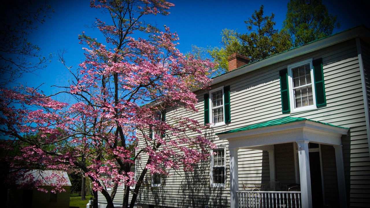 Photo of Outdoor in New Kent