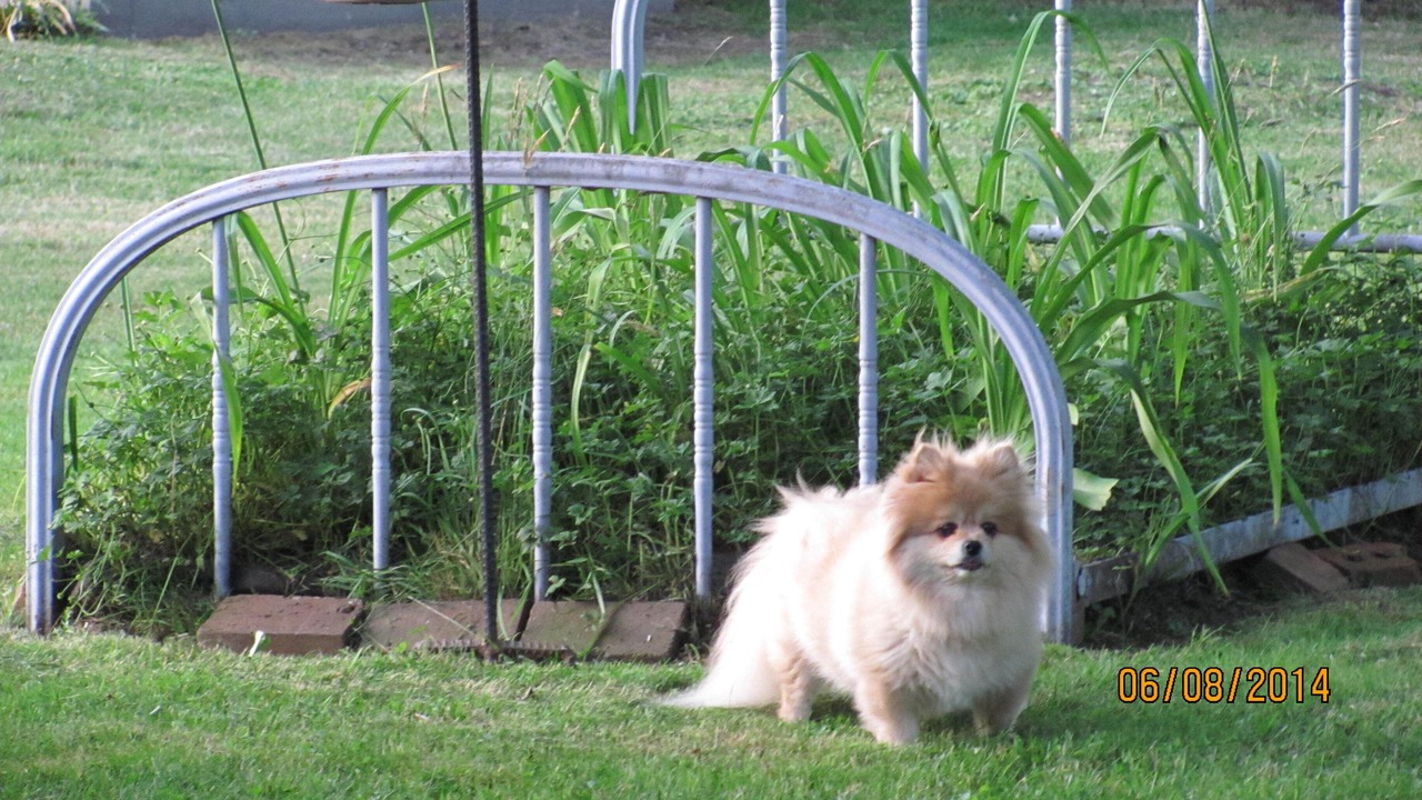 Photo of Outdoor in Rosman