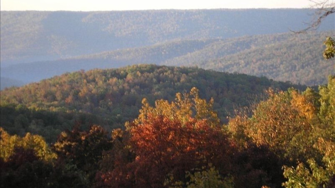 Photo of Others in Sewanee