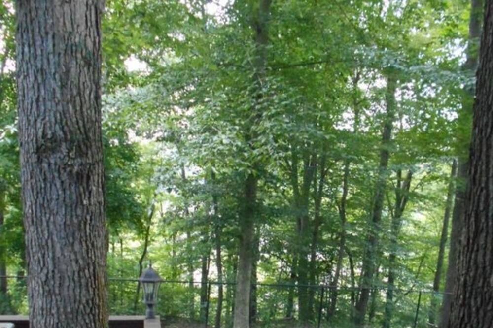 Photo of Outdoor in Leitchfield