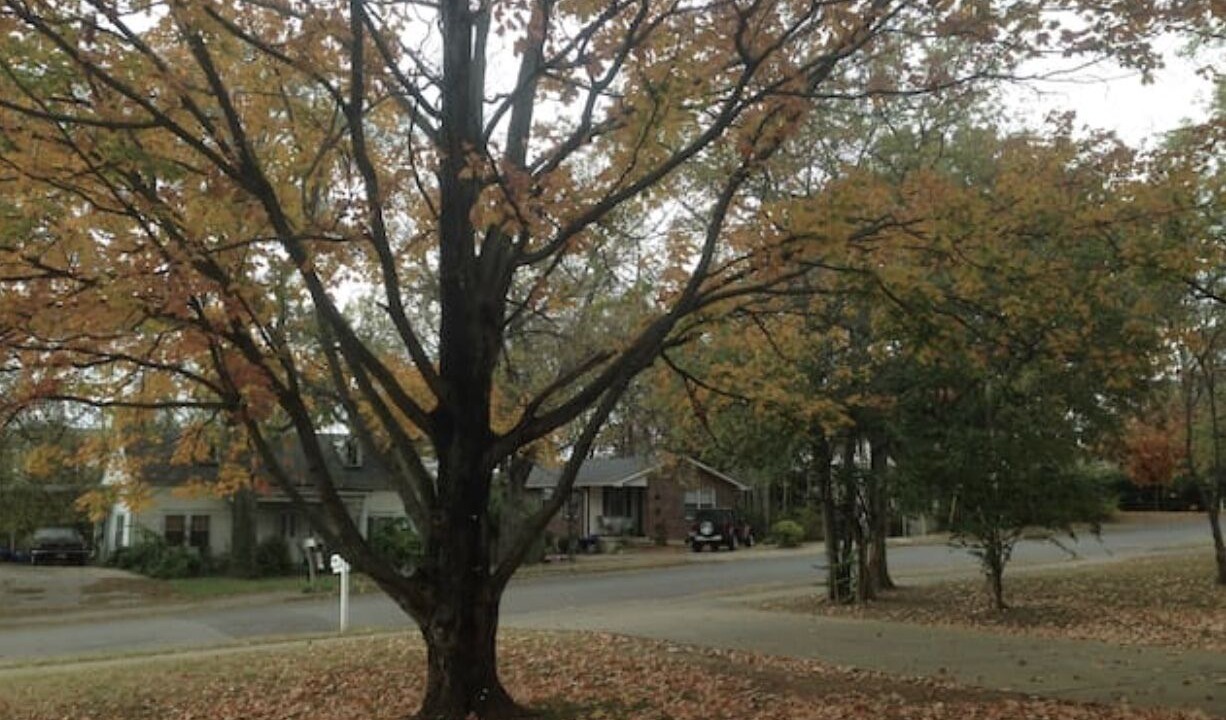 Photo of Outdoor in Midtown