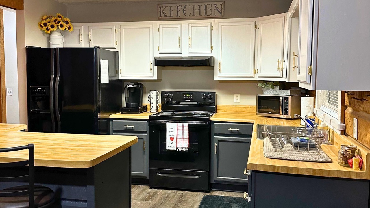 Photo of Kitchen in Flat Hollow Marina