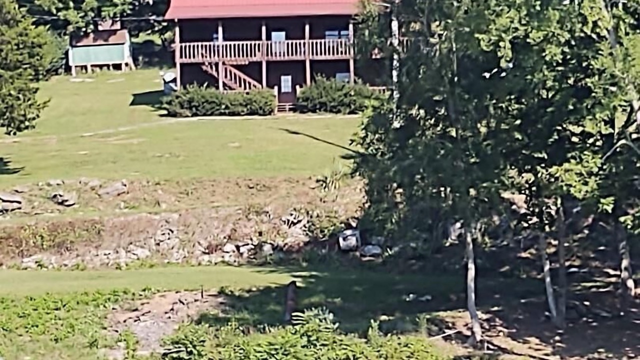 Photo of Others in Flat Hollow Marina