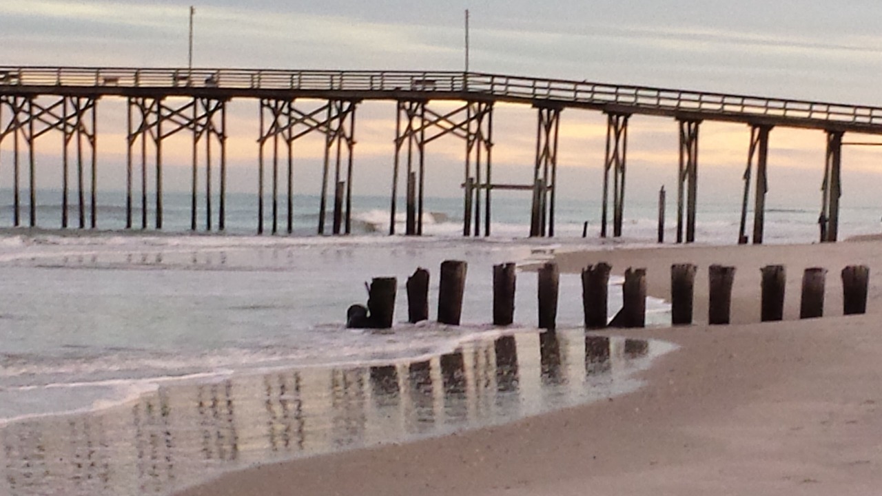 Photo of Others in North Carolina Coast
