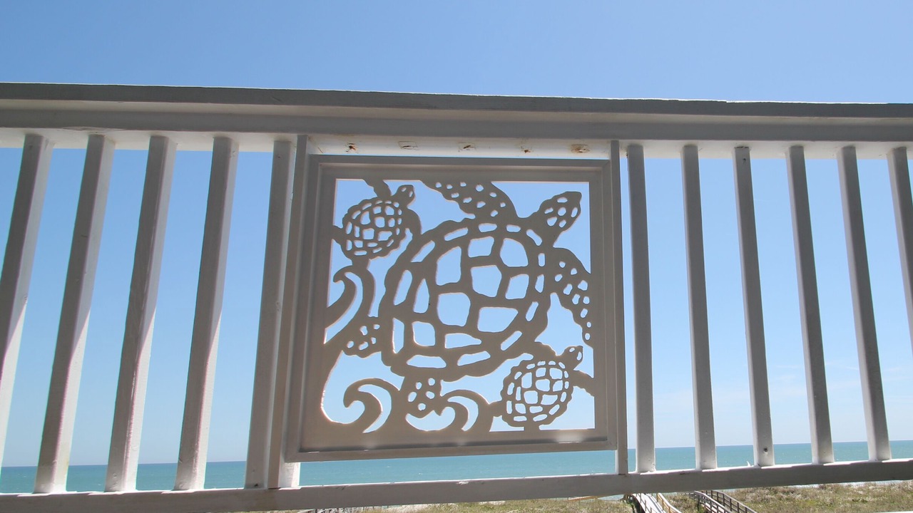 Photo of Outdoor in North Carolina Coast