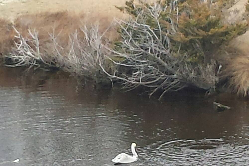 Photo of Others in Rodanthe