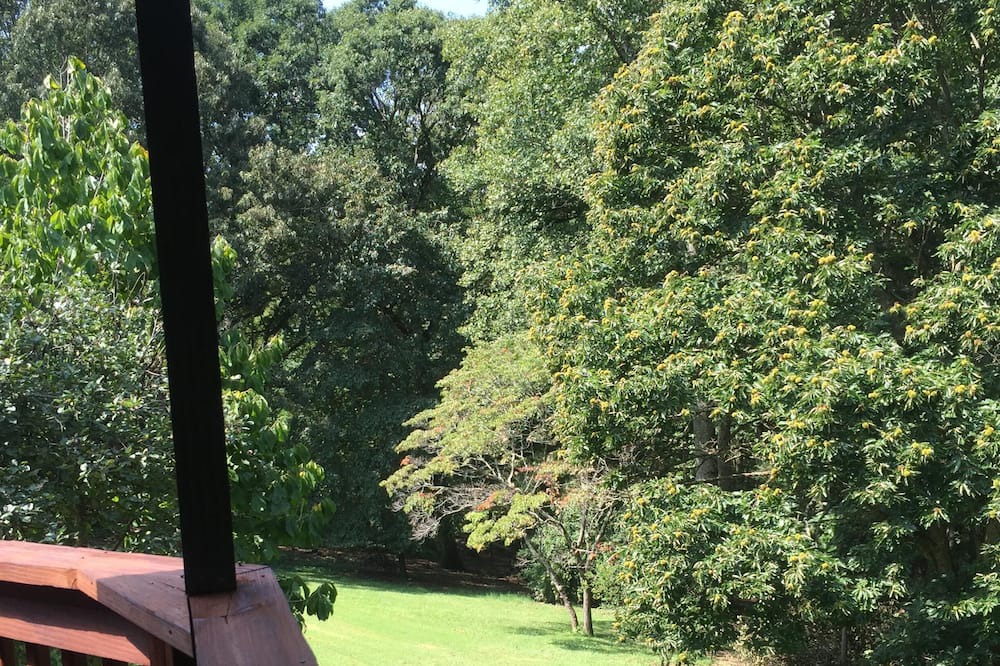 Photo of Outdoor in Asheville