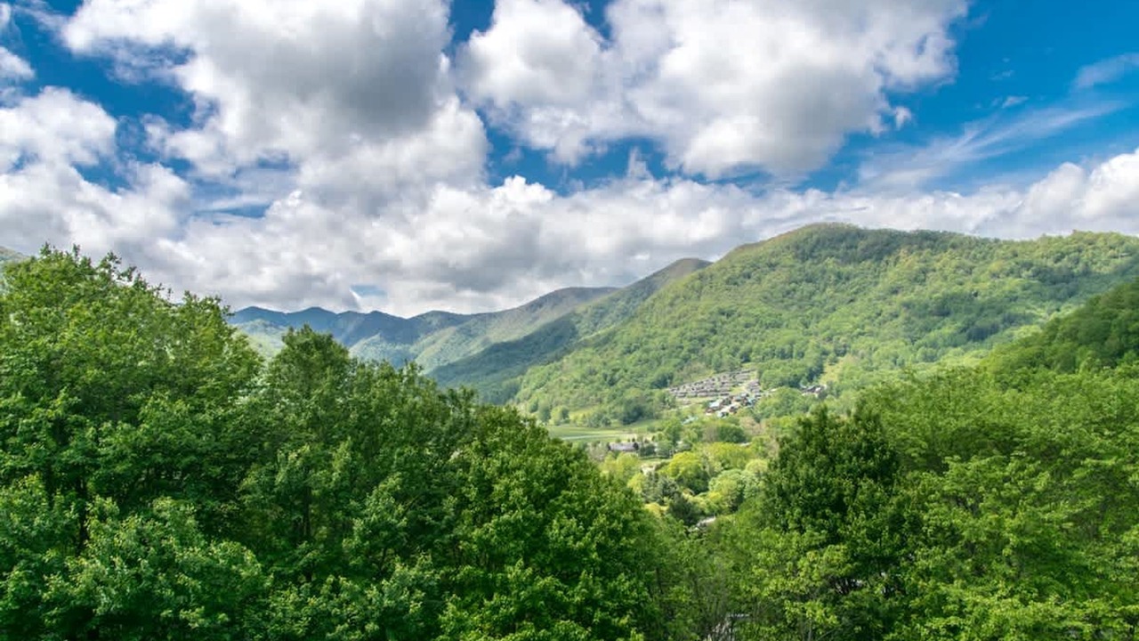 Photo of Others in Maggie Valley