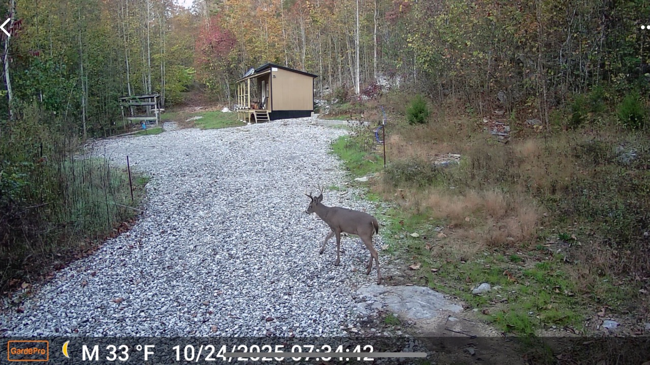 Photo of Outdoor in Wilder