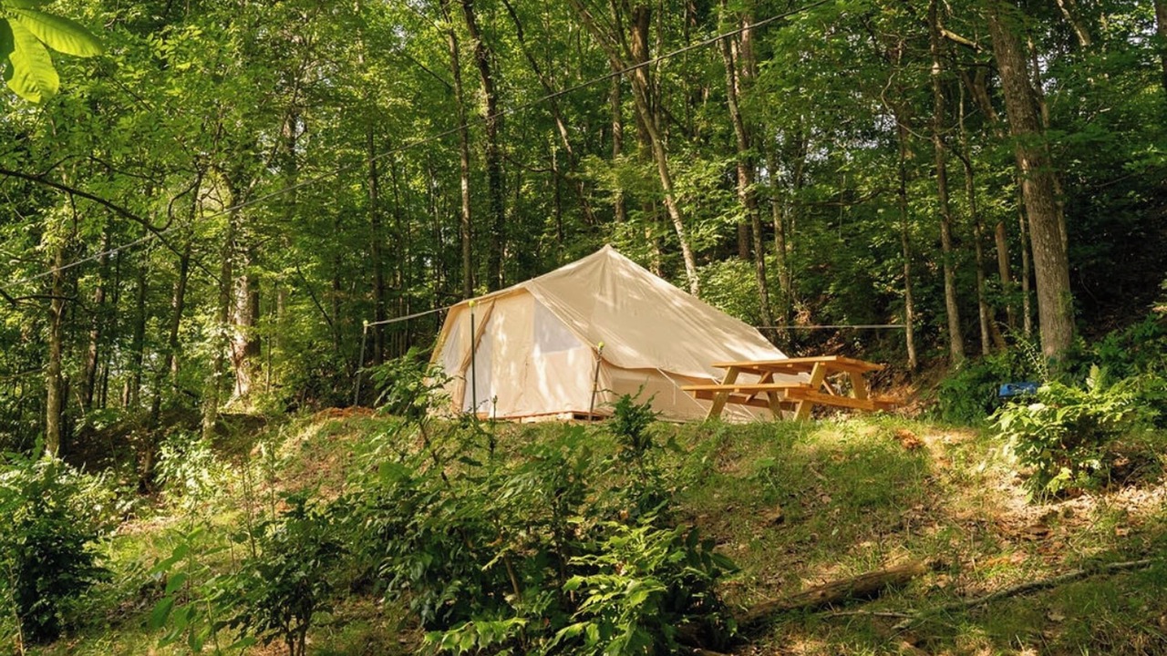 Photo of Outdoor in Lookout Valley Neighborhood Association