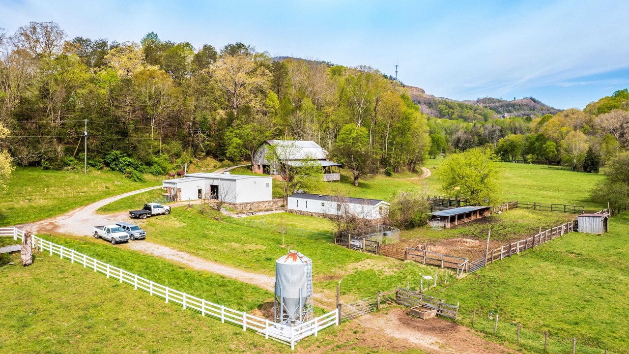 Photo of Outdoor in Lookout Valley Neighborhood Association