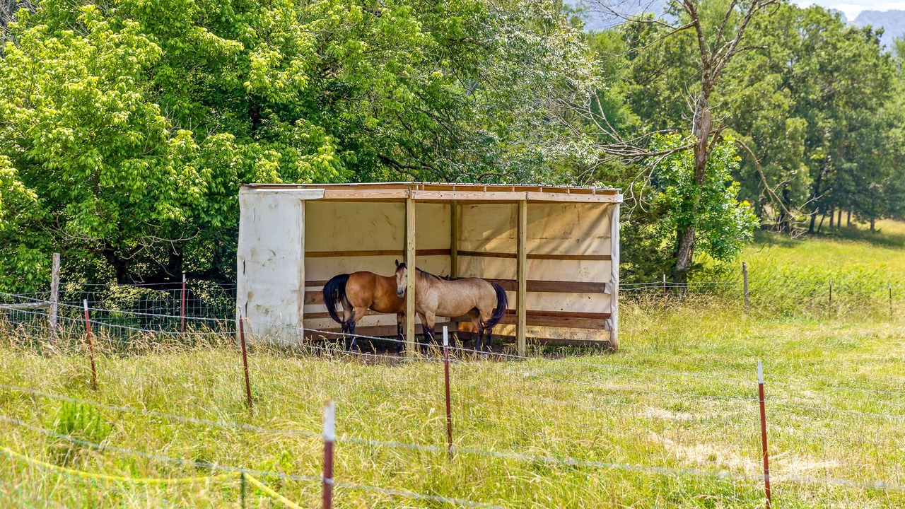 Photo of Others in Lookout Valley Neighborhood Association
