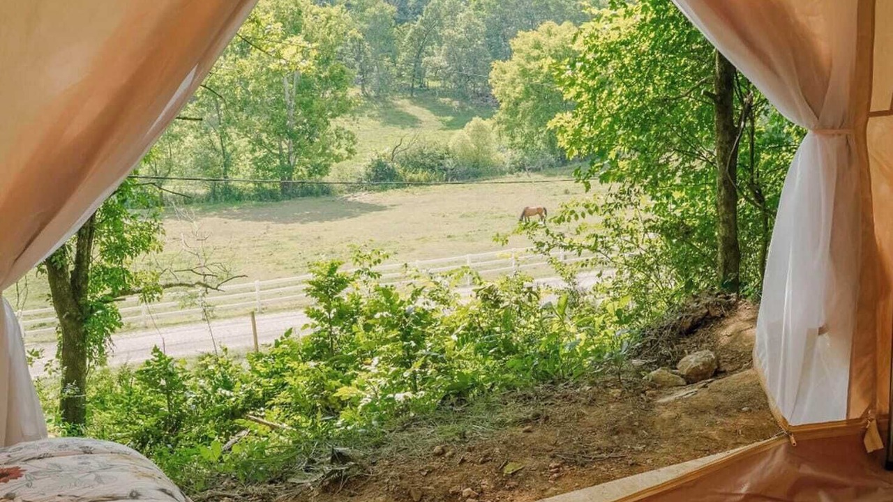 Photo of Others in Lookout Valley Neighborhood Association