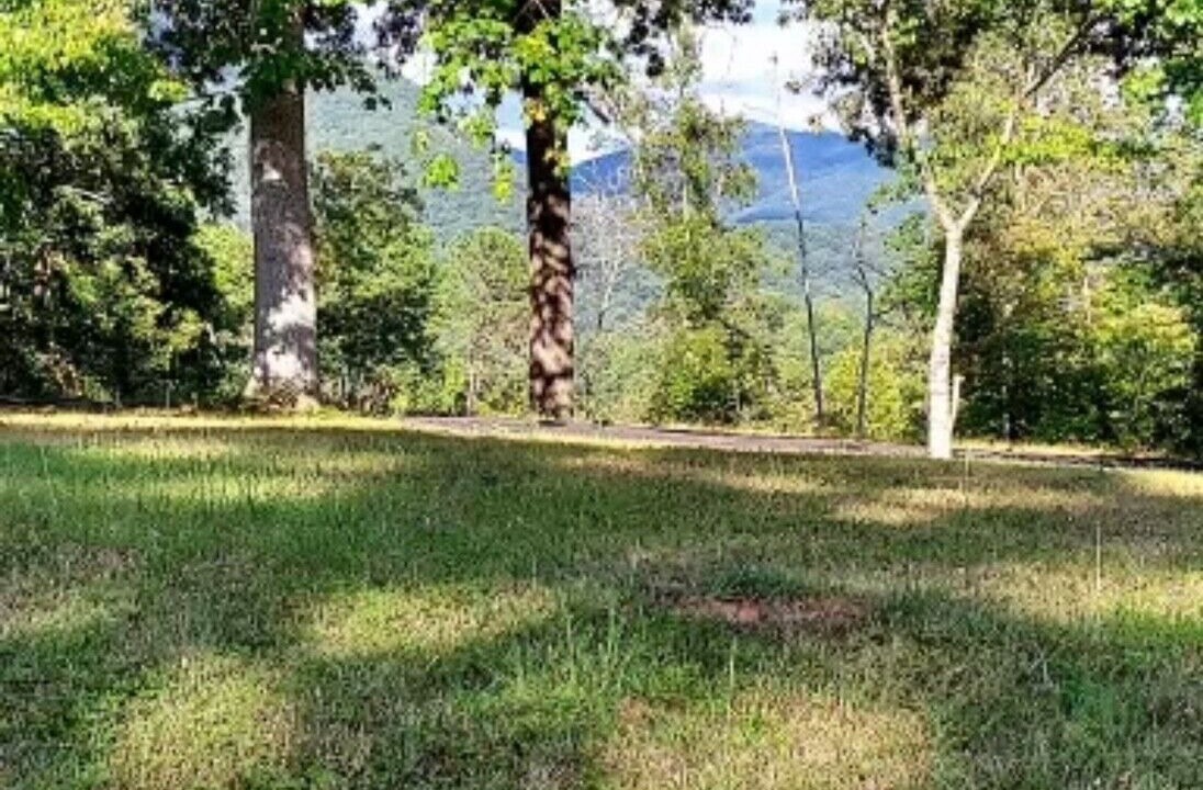 Photo of Outdoor in Sylva