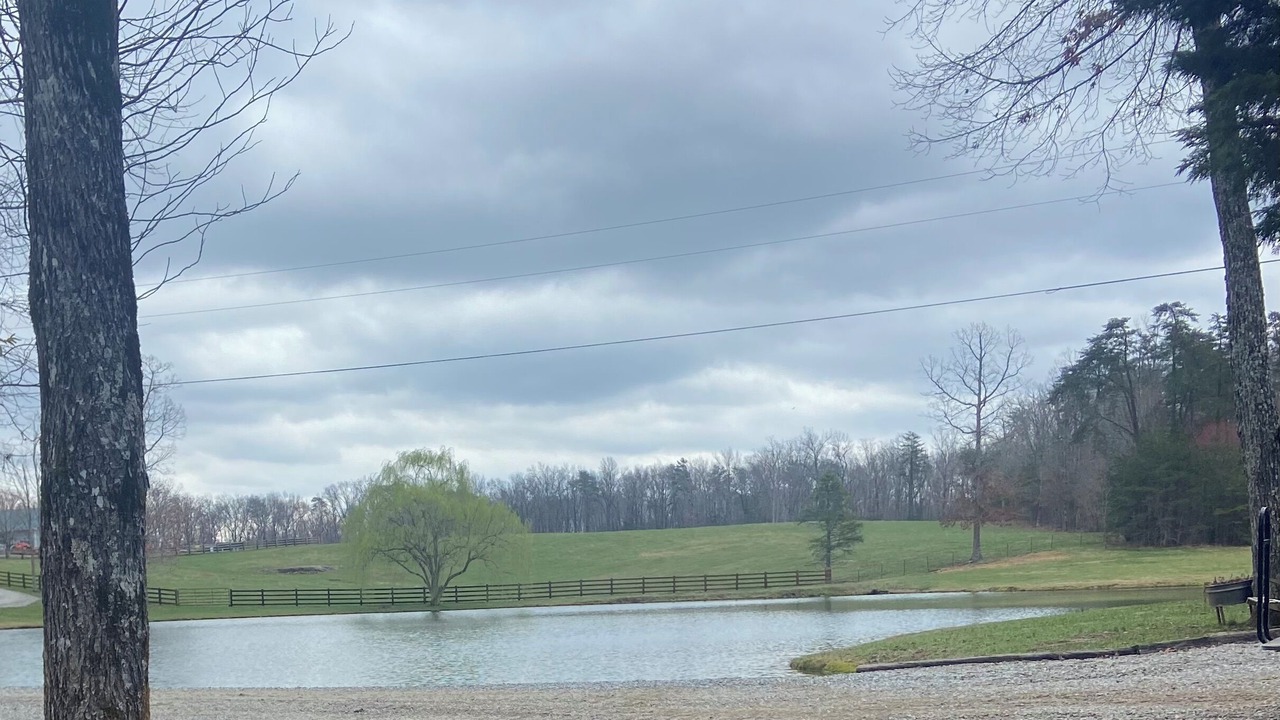 Photo of Others in Muddy Pond