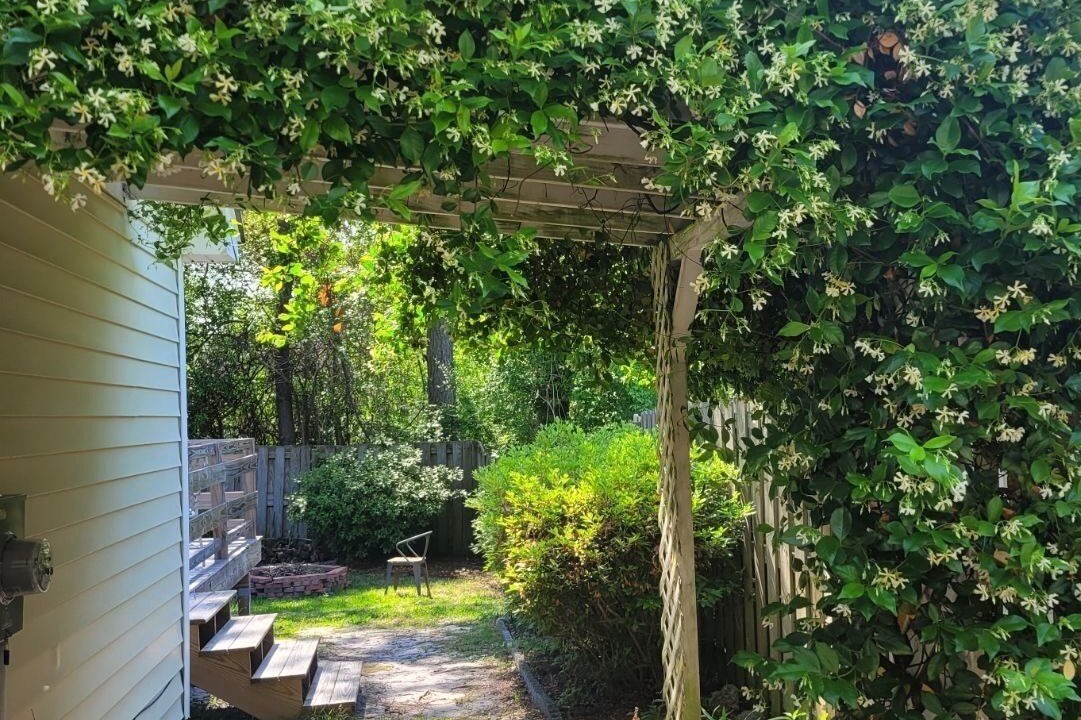 Photo of Outdoor in Wilmington