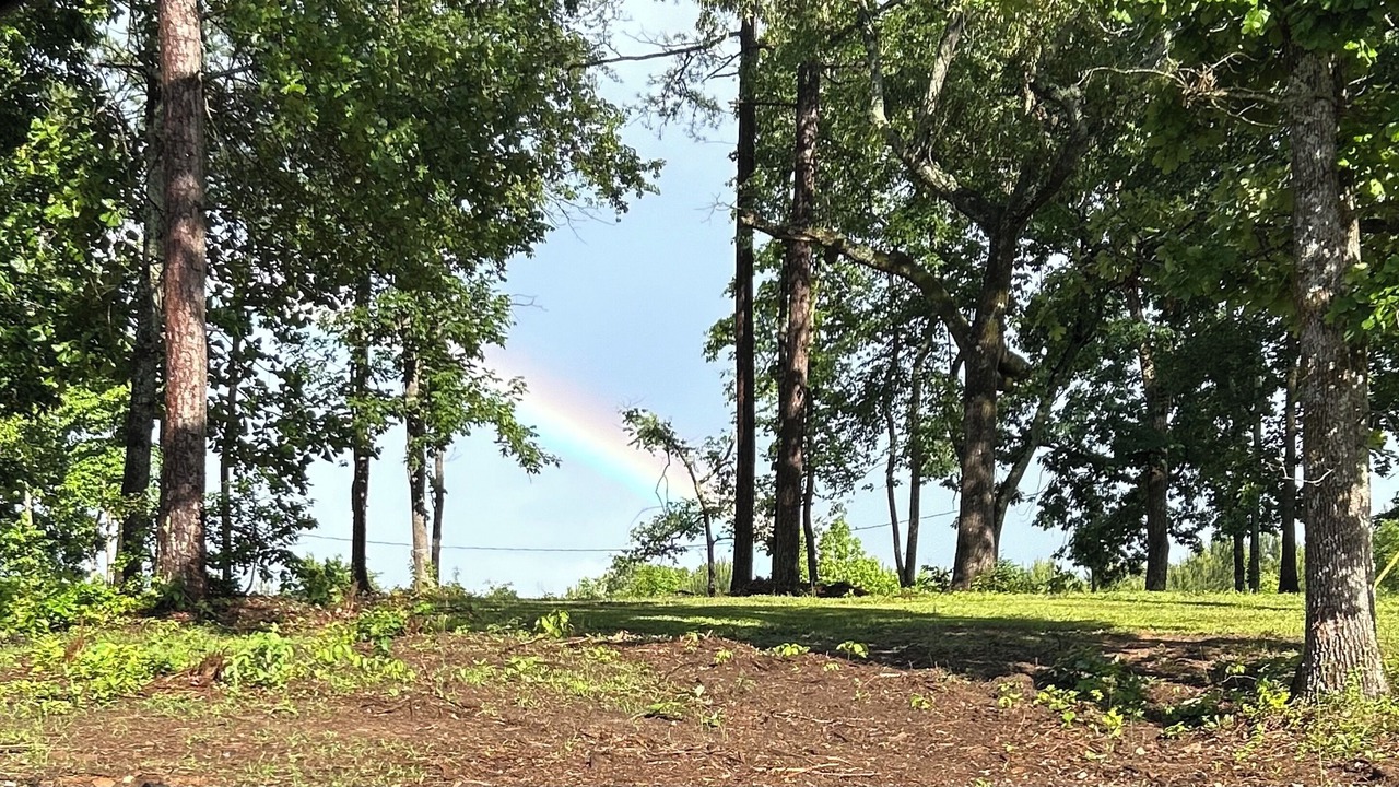 Photo of Outdoor in Pickens