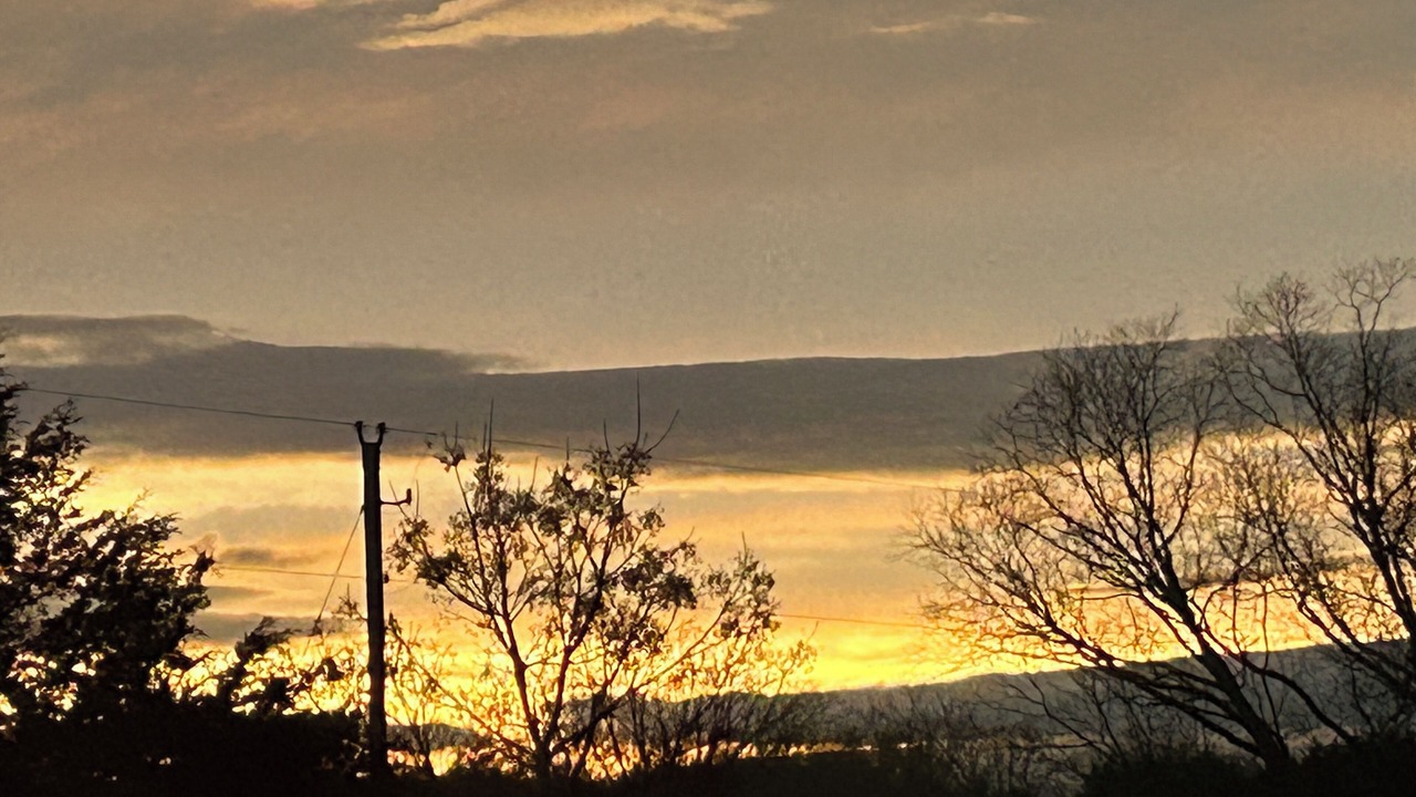Photo of Outdoor in Pickens