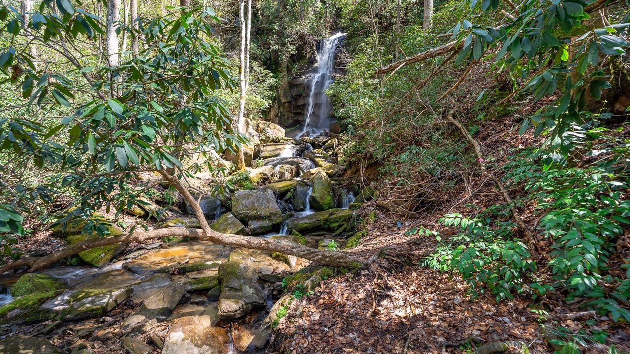 Photo of Outdoor in Brevard