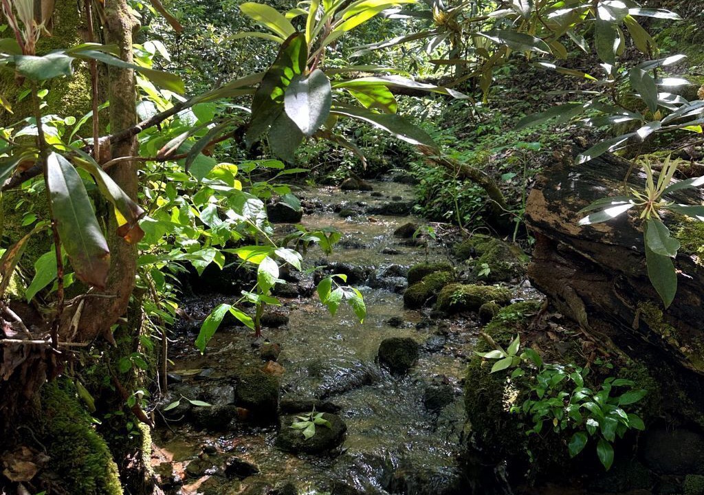 Photo of Outdoor in Rocky Bottom