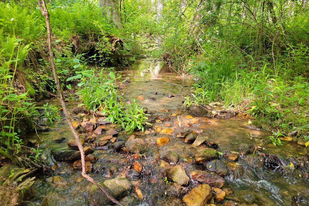Photo of Outdoor in Arden