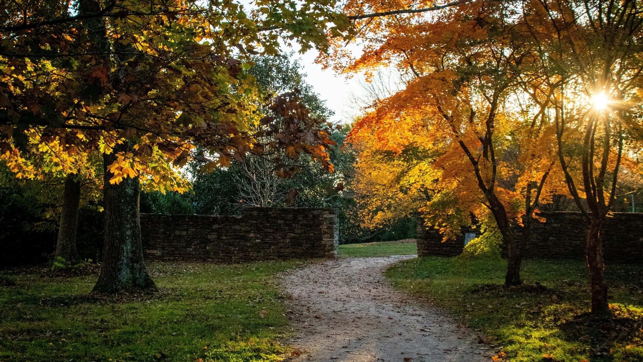 Photo of Outdoor in Downtown Knoxville