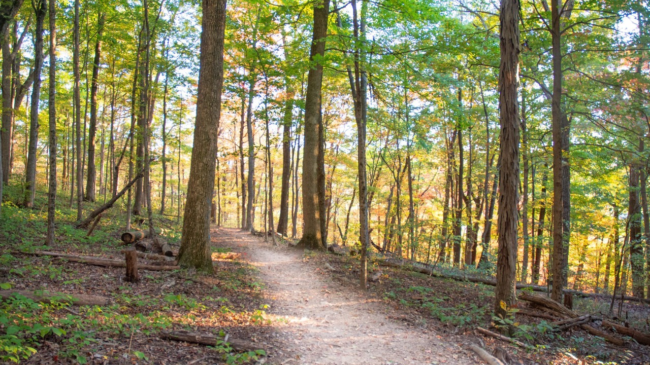 Photo of Outdoor in Berea