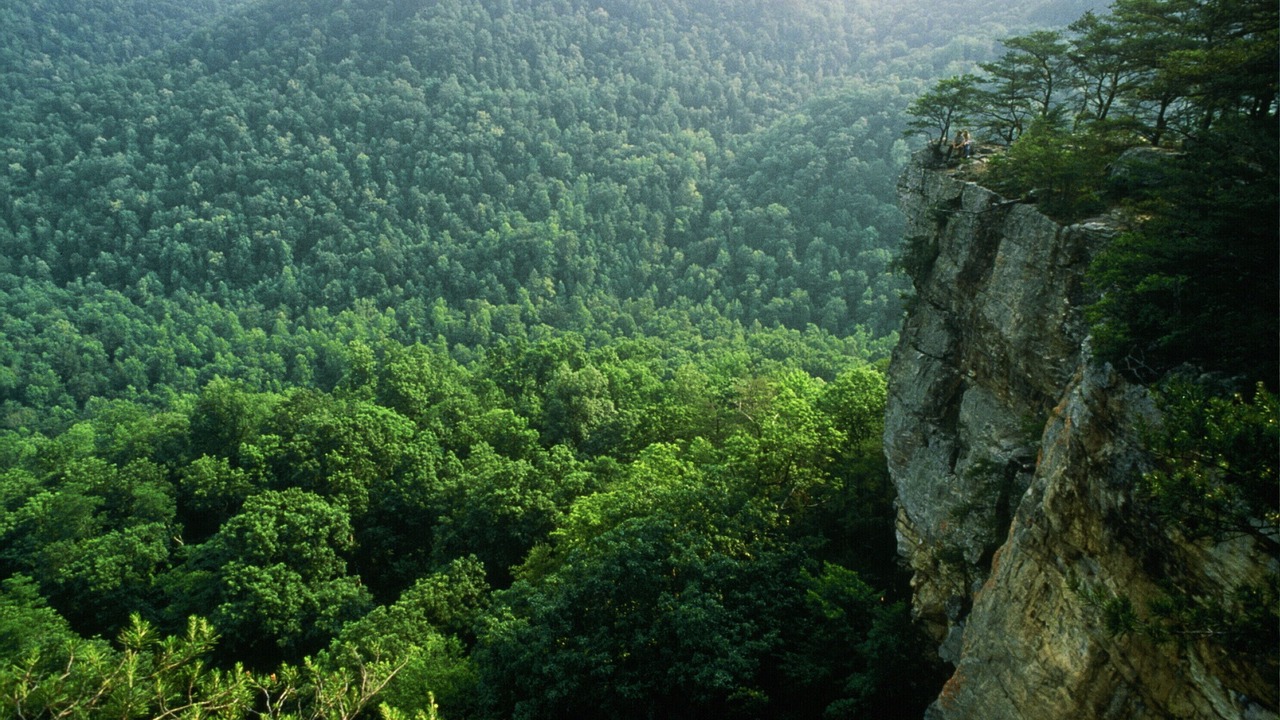 Photo of Others in Monteagle