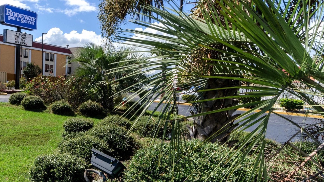 Photo of Outdoor in Jacksonville