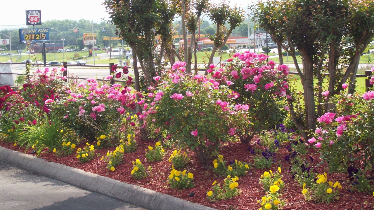 Photo of Outdoor in Clinton
