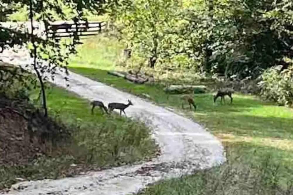Photo of Others in Campton
