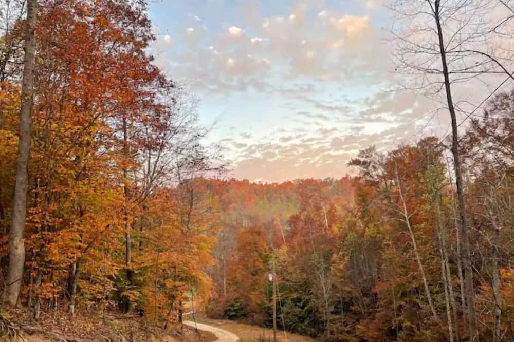 Photo of Outdoor in Campton