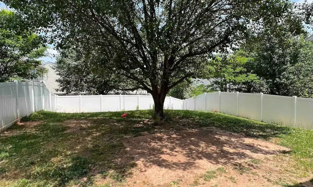 Photo of Outdoor in Paw Creek