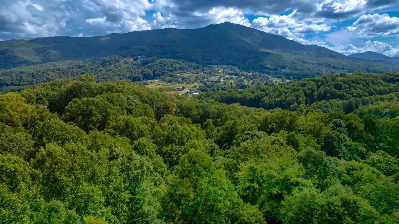 Photo of Others in Waynesville
