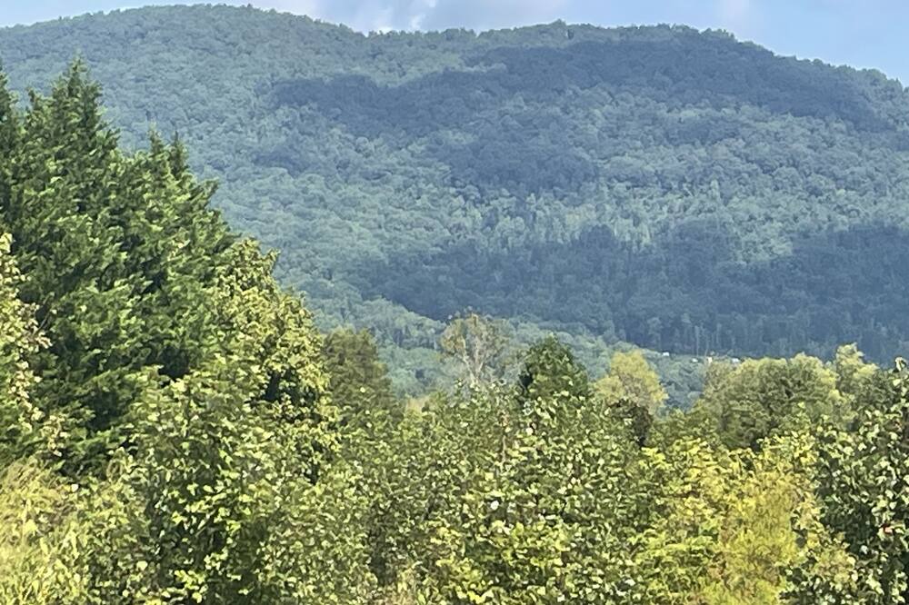 Photo of Outdoor in La Follette