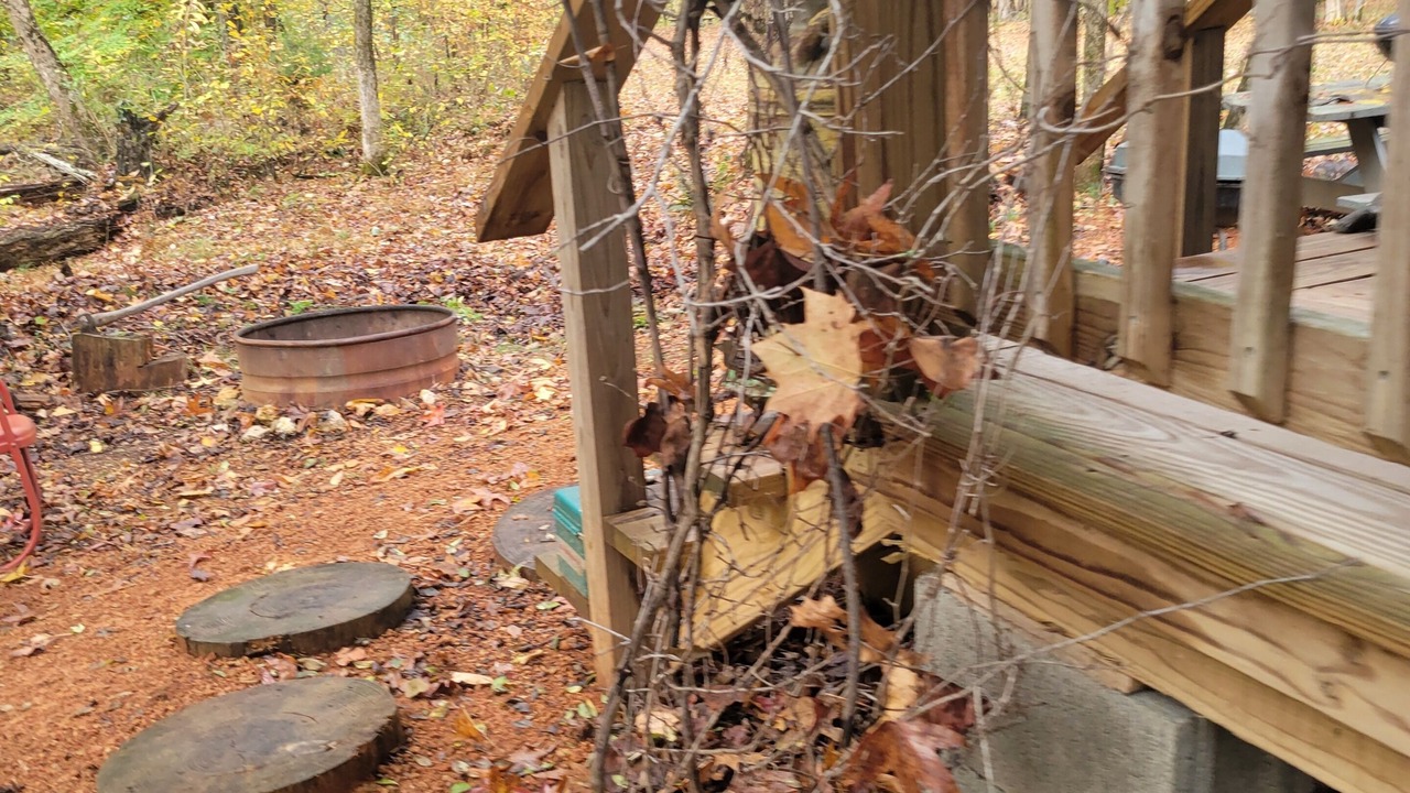 Photo of Outdoor in Linden