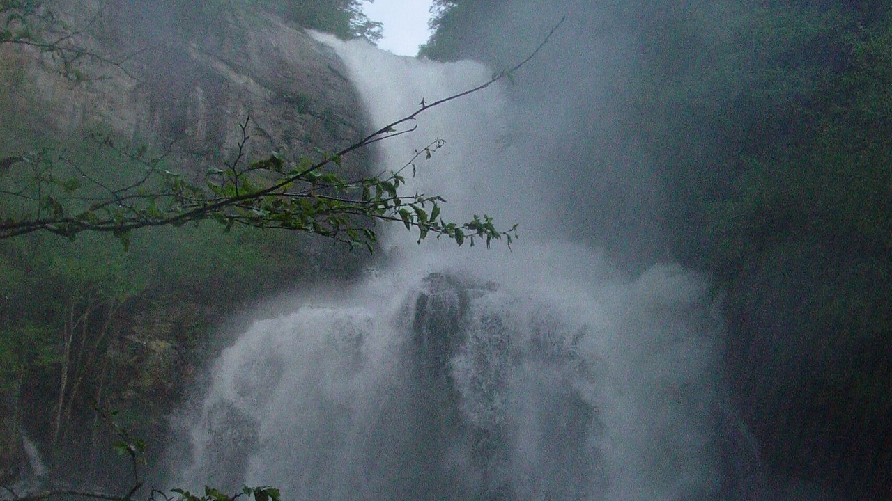 Photo of Others in Cullowhee