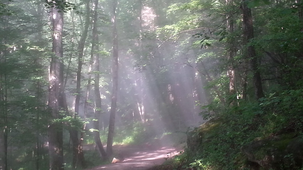 Photo of Outdoor in Cullowhee