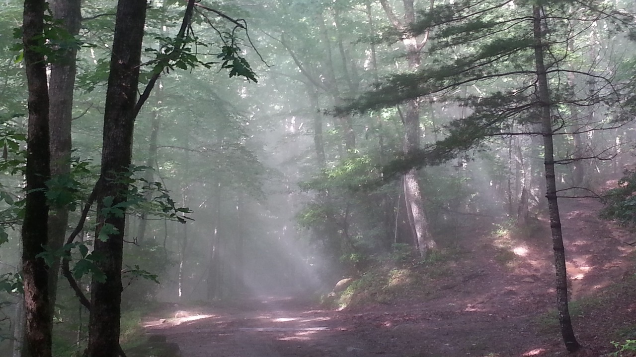 Photo of Outdoor in Cullowhee