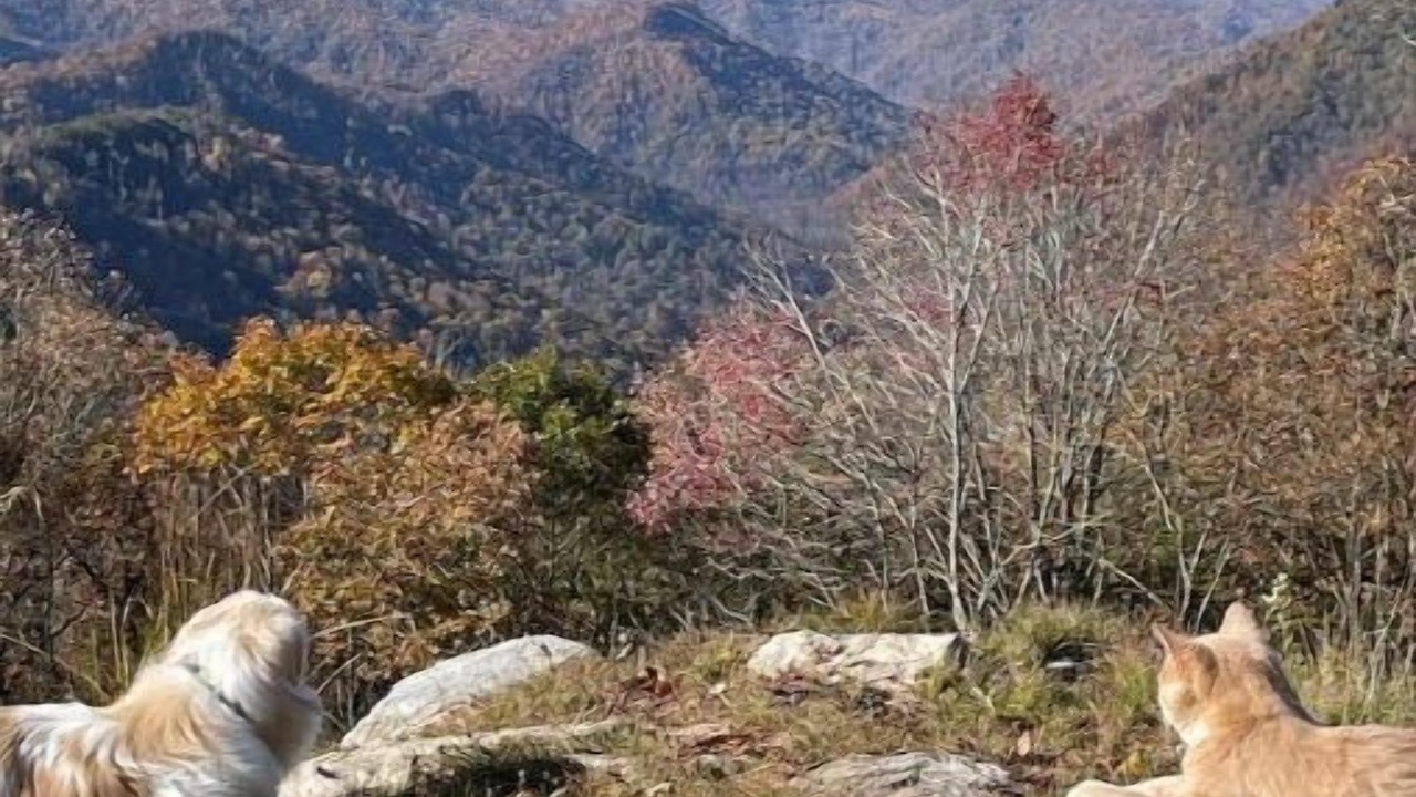Photo of Others in Cherokee