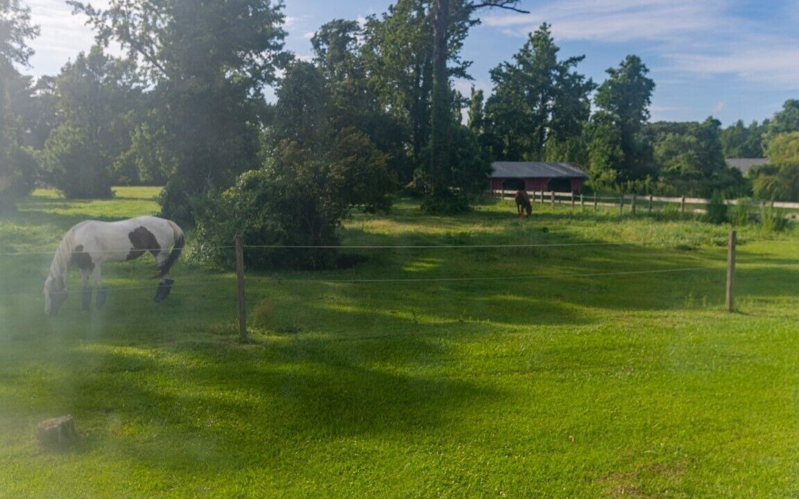 Photo of Outdoor in Wanchese
