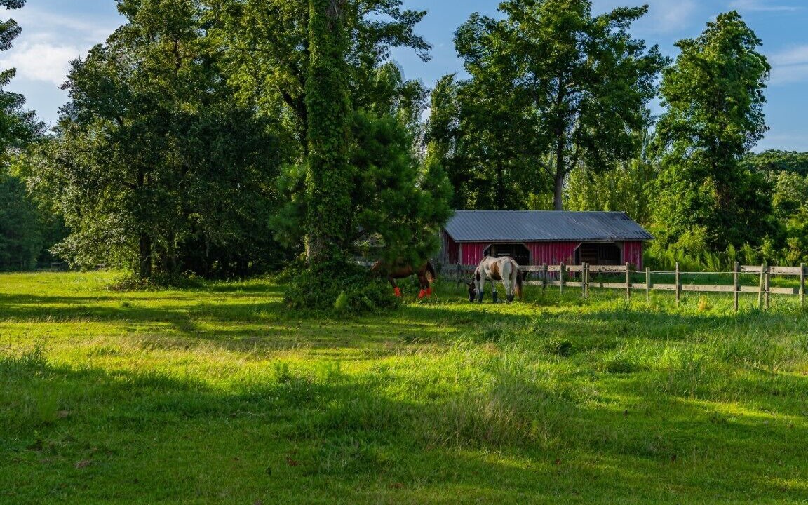 Photo of Outdoor in Wanchese