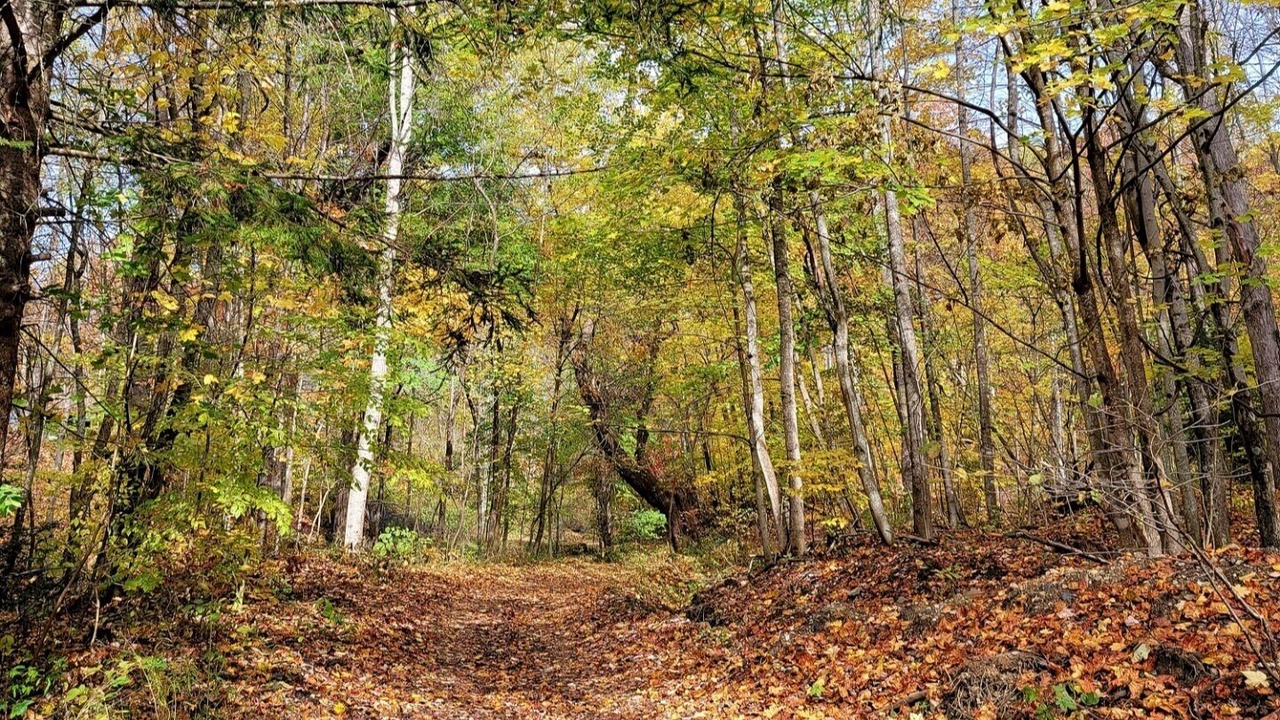 Photo of Outdoor in Northfork