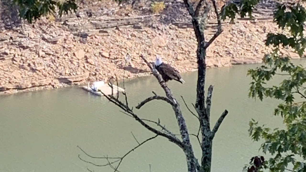 Photo of Others in Bronston