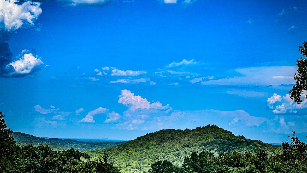 Photo of Others in Tigerville